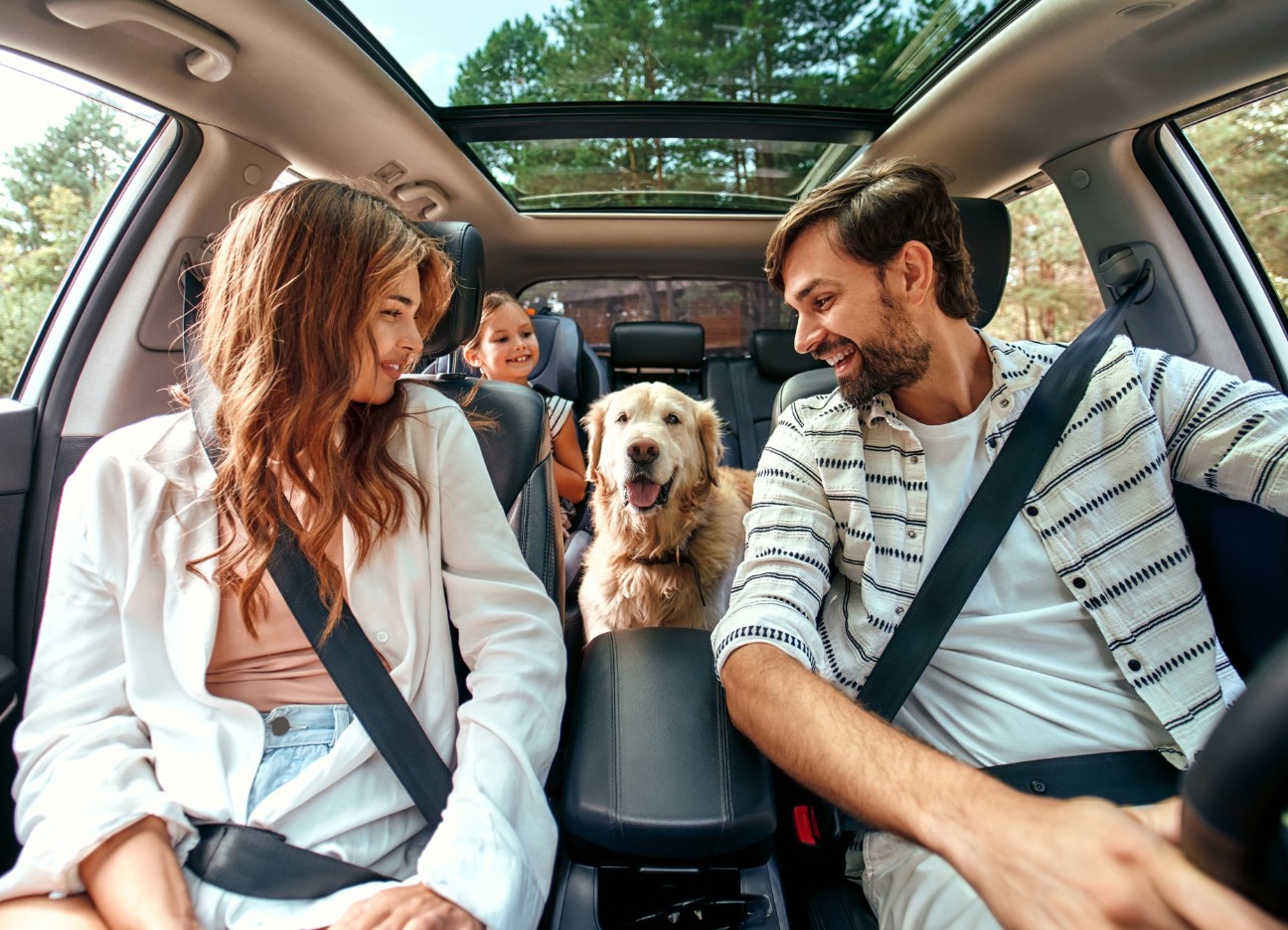Eine junge Familie, fotografiert aus der Perspektive des Autocockpits, sitzt angeschnallt Auto und haben ihren goldbeigen Hund auf der Rückbank mit dabei.