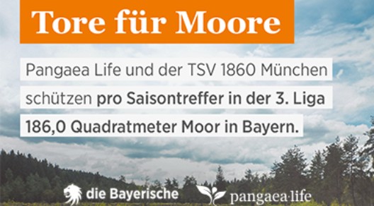 Grafik für die Aktion des TSV 1860 mit Pangaea Life "Tore für Moore"