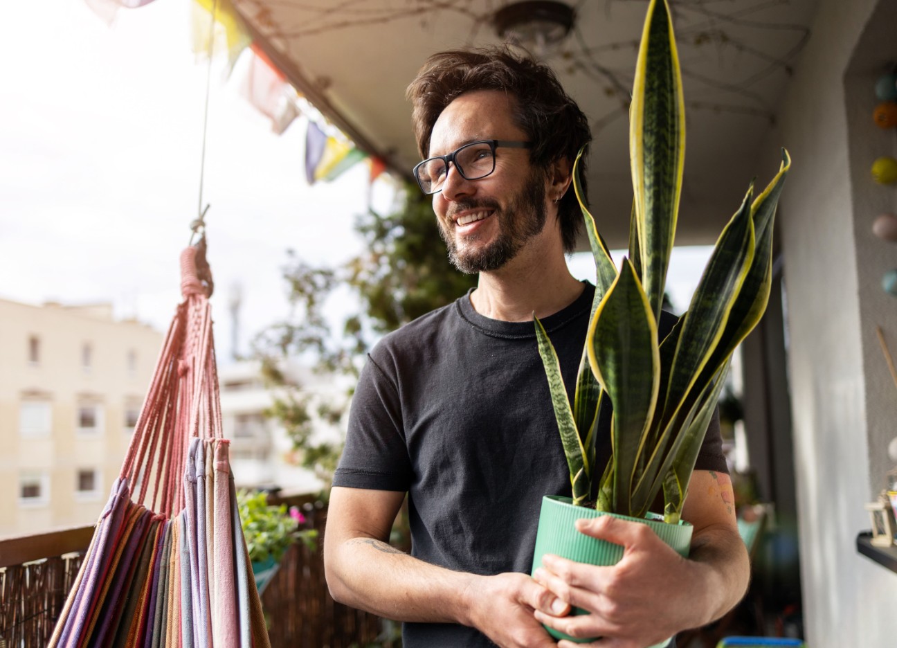 Diebayerische Ratgeber Urban Gardening