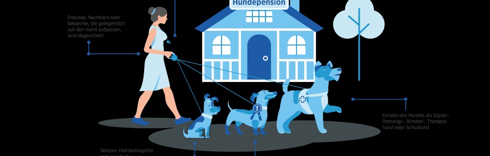 Hundehaftpflichtschutz Übersicht