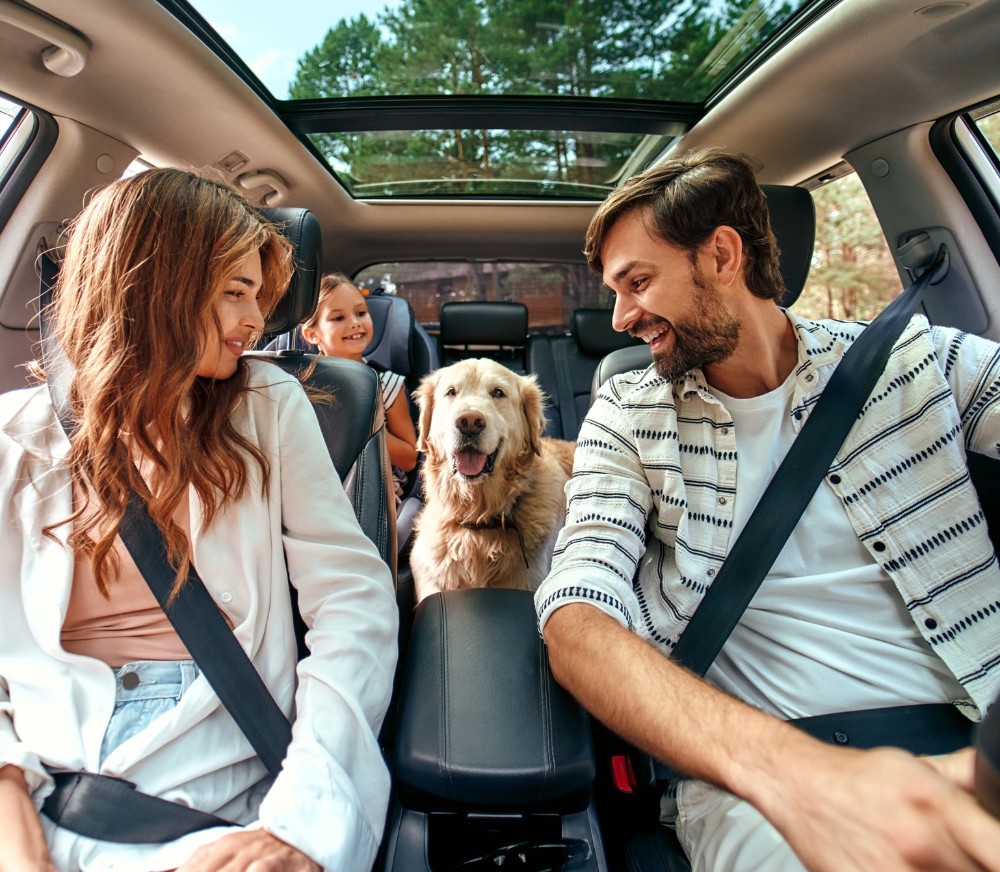 Eine junge Familie, fotografiert aus der Perspektive des Autocockpits, sitzt angeschnallt Auto und haben ihren goldbeigen Hund auf der Rückbank mit dabei.