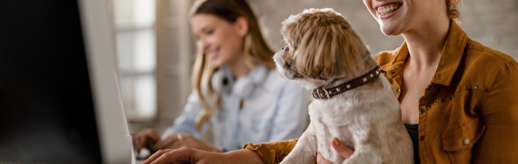 Eine Frau sitzt im Büro am Computer, auf ihrem Schoß ihr kleiner Hund. 