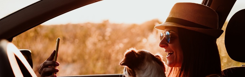 Eine Frau sitzt im Sonnenschein mit ihrem kleinen Hund im Auto. 