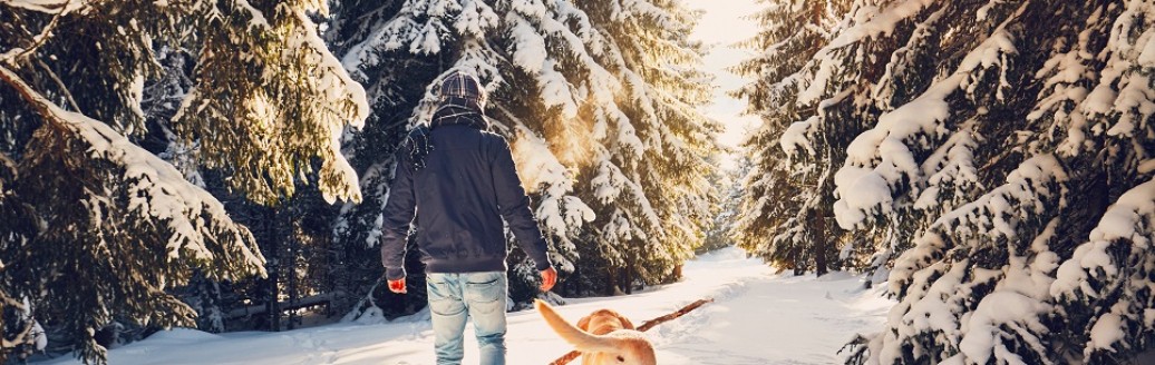 Ein Mann geht mit seinem Hund durch einen verschneiten Wald wandern.