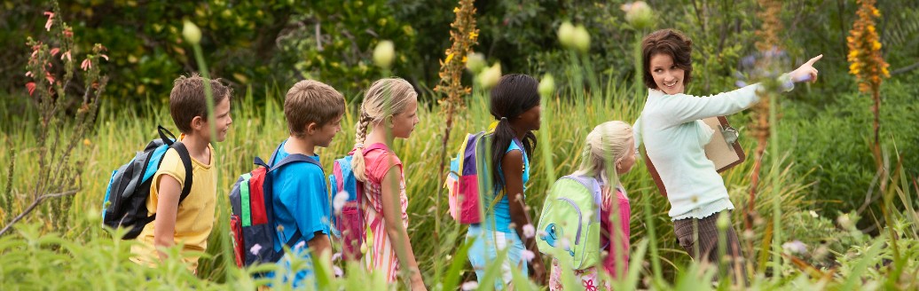 Eine Lehrerin zeigt ihren Schülern die Natur, während sie durch Grünes laufen. 