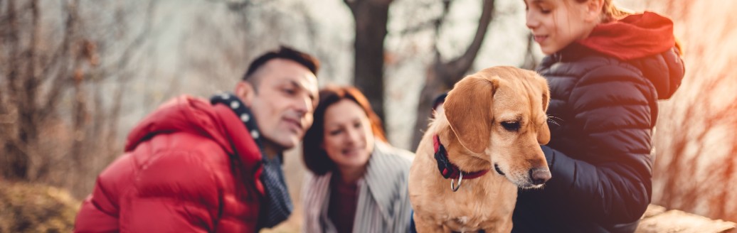 Ein Mann und eine Frau schauen ein wenig zu ihrer Tochter hoch, die etwas höher auf einer Holzplattform mit einem Hund sitzt. Die Familie ist in der Sonne in einem Wald unterwegs. 