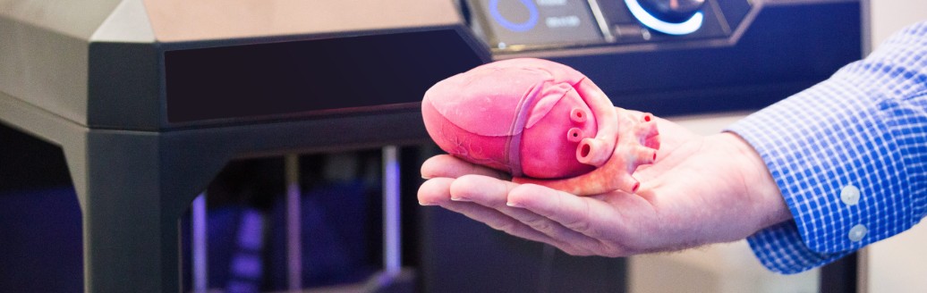 Ein Mann hält ein Herz (Organ), welches aus einem 3D-Drucker stammt. 