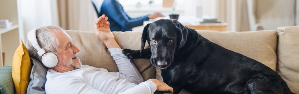 Ein älterer Mann in Anzug liegt mit Kopfhörern auf dem Kopf auf dem Sofa. Neben ihm ein schwarzer Hund. 
