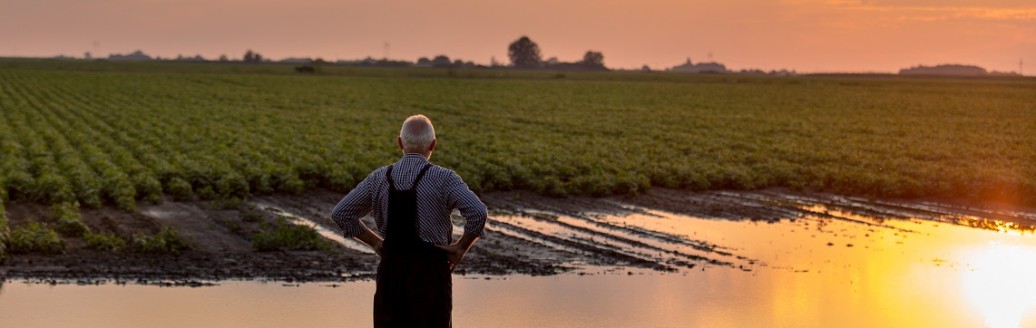Ein Mann steht im Sonnenuntergang an einem überschwemmten Teich.