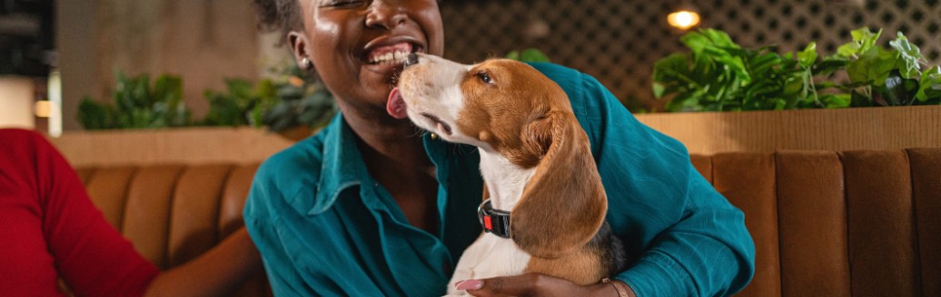 Frau hält ihren Hund während sie lacht und in einem Restaurant sitzt.