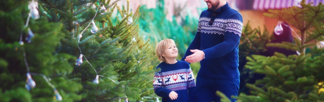 Ein junger Vater und sein Sohn suchen gemeinsam einen Weihnachtsbaum bei einem Verkauf aus.
