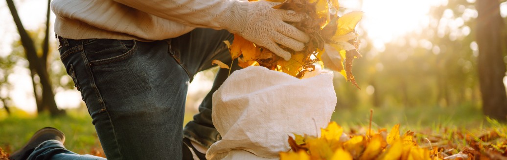 RegelungenLaub Fegen im Herbst