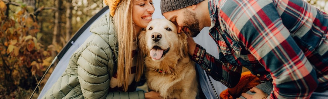 Frau mit gelber Mütze und Mann mit kariertem Hemd beim Camping mit Golden Retriever