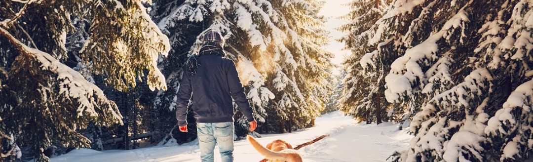 Ein Mann geht mit seinem Hund durch einen verschneiten Wald wandern.