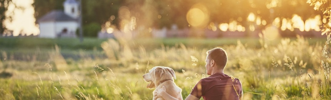 Ein Mann sitzt mit seinem Golden Retriever zusammen im hohen Gras bei Sonnenschein. 