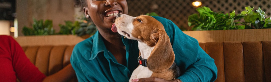 Frau hält ihren Hund während sie lacht und in einem Restaurant sitzt.