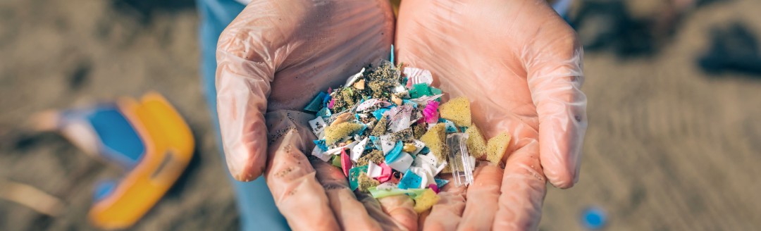 Zwei Hände halten kleine Teile aus Mikroplastik. Im Hintergrund ist ein Strand zu erkennen. 