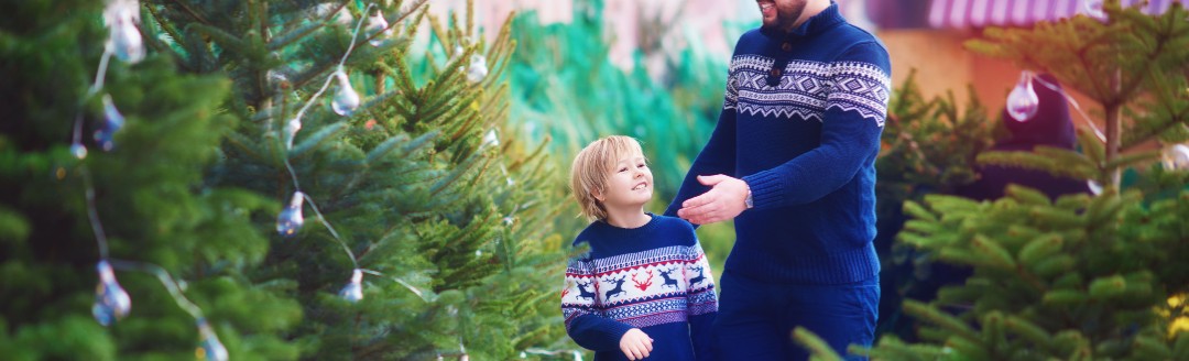 Ein junger Vater und sein Sohn suchen gemeinsam einen Weihnachtsbaum bei einem Verkauf aus.