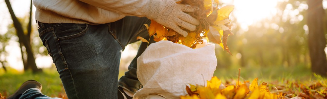 RegelungenLaub Fegen im Herbst