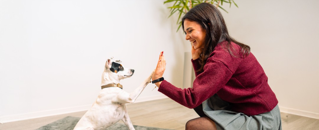 Karriere Benefits Eine Mitarbeiterin gibt ihrem Hund ein High five im Hundbüro