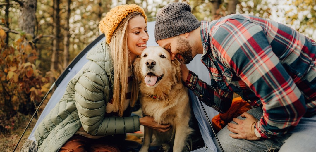 Frau mit gelber Mütze und Mann mit kariertem Hemd beim Camping mit Golden Retriever