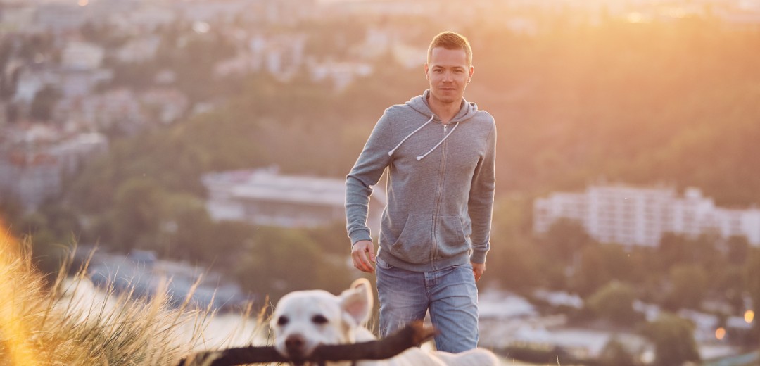 Ein Mann spaziert mit seinem Hund auf einer Wiese spazieren. Im Hintergrund ist eine Stadt zu sehen. 