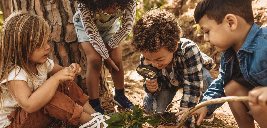 Kinder im Wald mit Lupe
