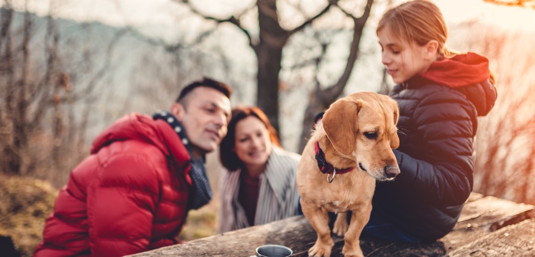 Ein Mann und eine Frau schauen ein wenig zu ihrer Tochter hoch, die etwas höher auf einer Holzplattform mit einem Hund sitzt. Die Familie ist in der Sonne in einem Wald unterwegs. 