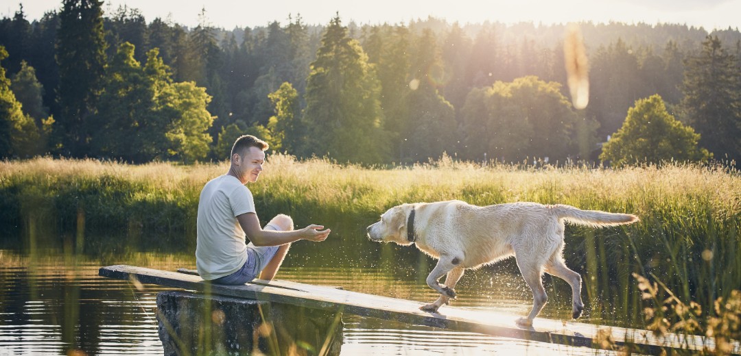 Diebayerische Ratgeber Urlaub Mit Hund