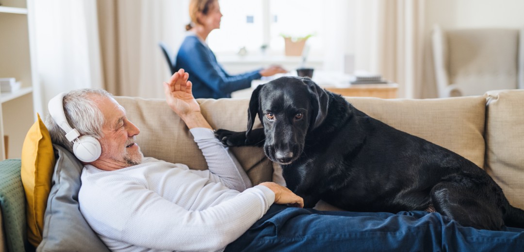 Ein älterer Mann in Anzug liegt mit Kopfhörern auf dem Kopf auf dem Sofa. Neben ihm ein schwarzer Hund. 