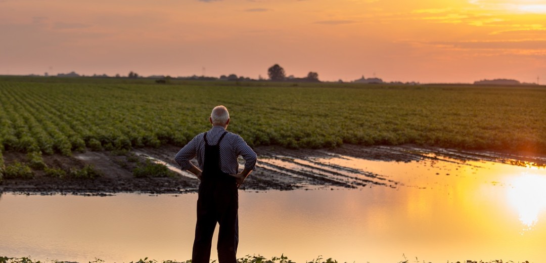 Ein Mann steht im Sonnenuntergang an einem überschwemmten Teich.