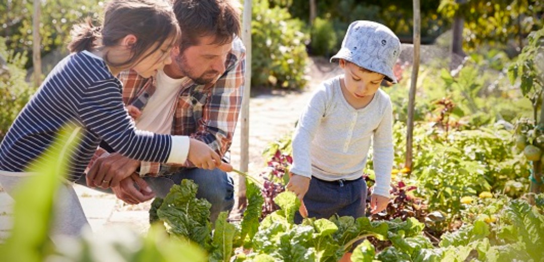 Ein Vater hockt mit seinen zwei jungen Kindern vor mehreren Gartenbeets