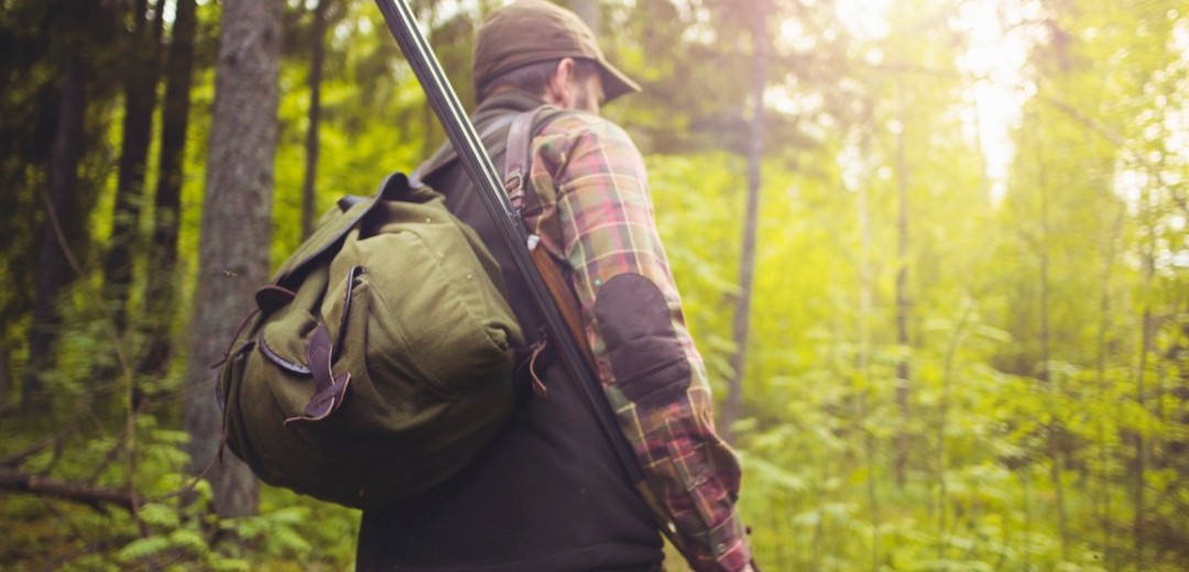 Ein von hinten fotografierter Jäger, der im Wald unterwegs ist.