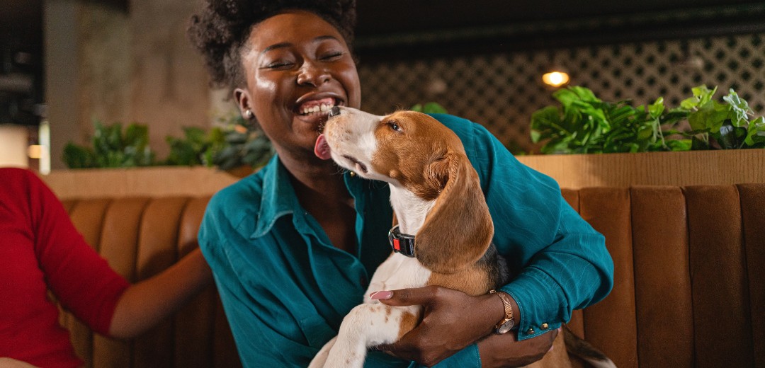 Frau hält ihren Hund während sie lacht und in einem Restaurant sitzt.