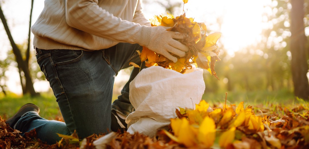 RegelungenLaub Fegen im Herbst