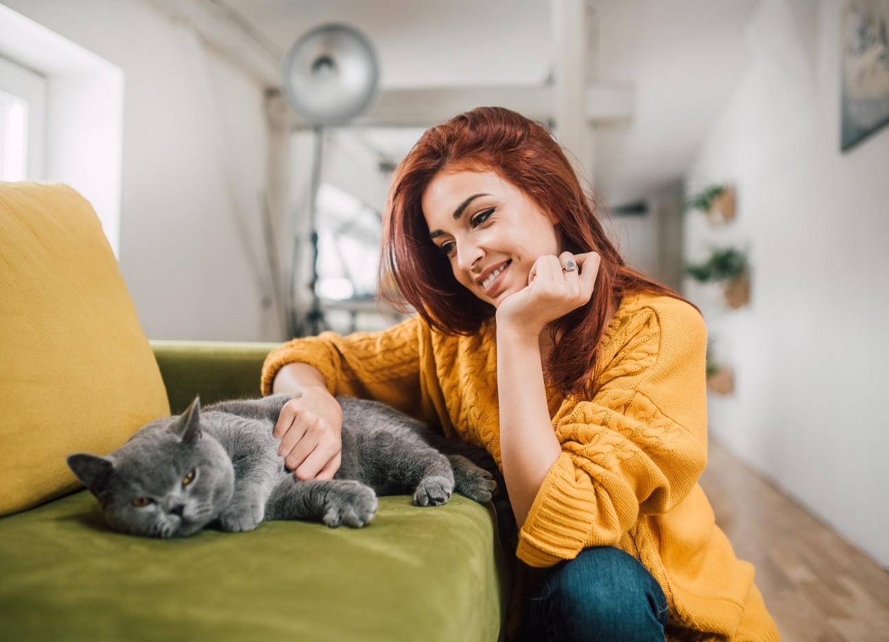 diebayerische-katzen-krankenversicherung