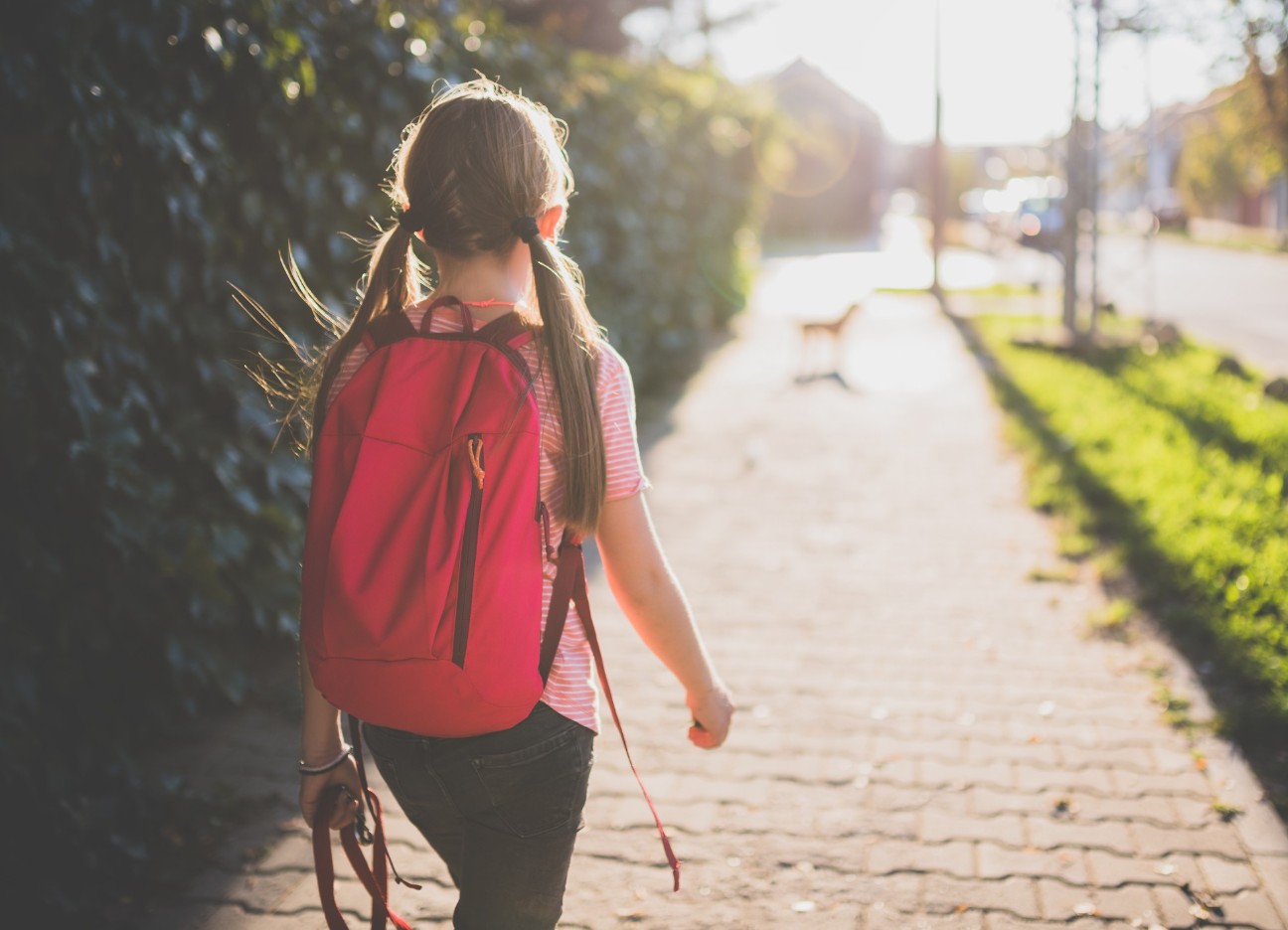 Bühnenbild Ratgeber Haftung für Kinder und Unfälle auf dem Schulweg Ein junges Mädchen, fotografiert von hinten, läuft mit ihrem Rucksack eine Straße entlang.