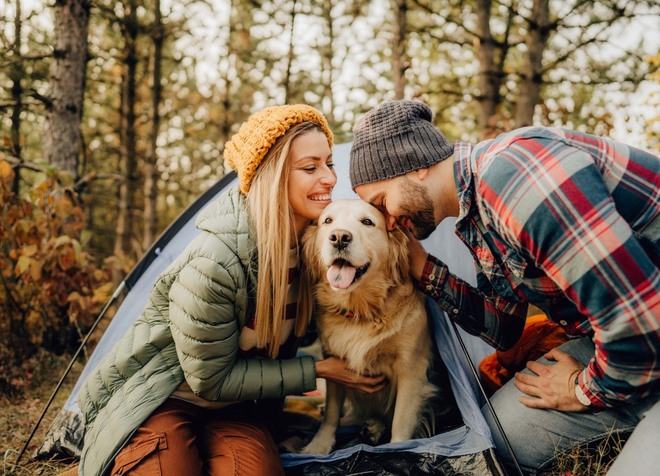 Frau mit gelber Mütze und Mann mit kariertem Hemd beim Camping mit Golden Retriever