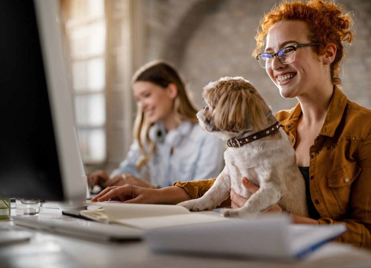 Eine Frau sitzt im Büro am Computer, auf ihrem Schoß ihr kleiner Hund. 