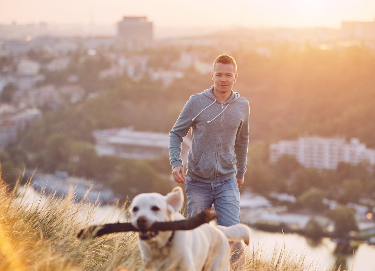 Bühnenbild Ratgeber Hund in der Stadt Ein Mann spaziert mit seinem Hund auf einer Wiese spazieren. Im Hintergrund ist eine Stadt zu sehen.