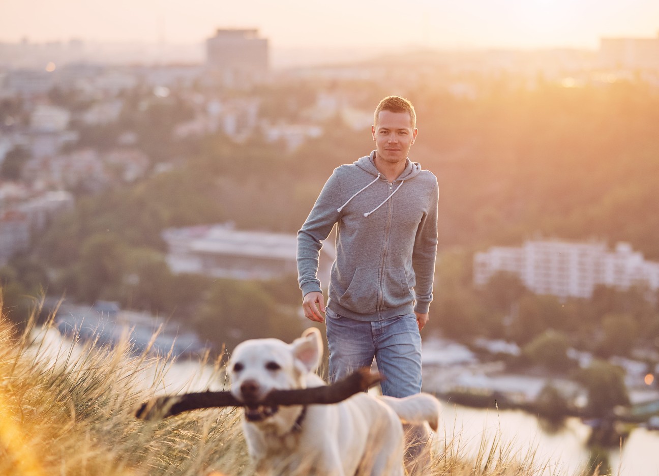 Hundehaltung in der Stadt