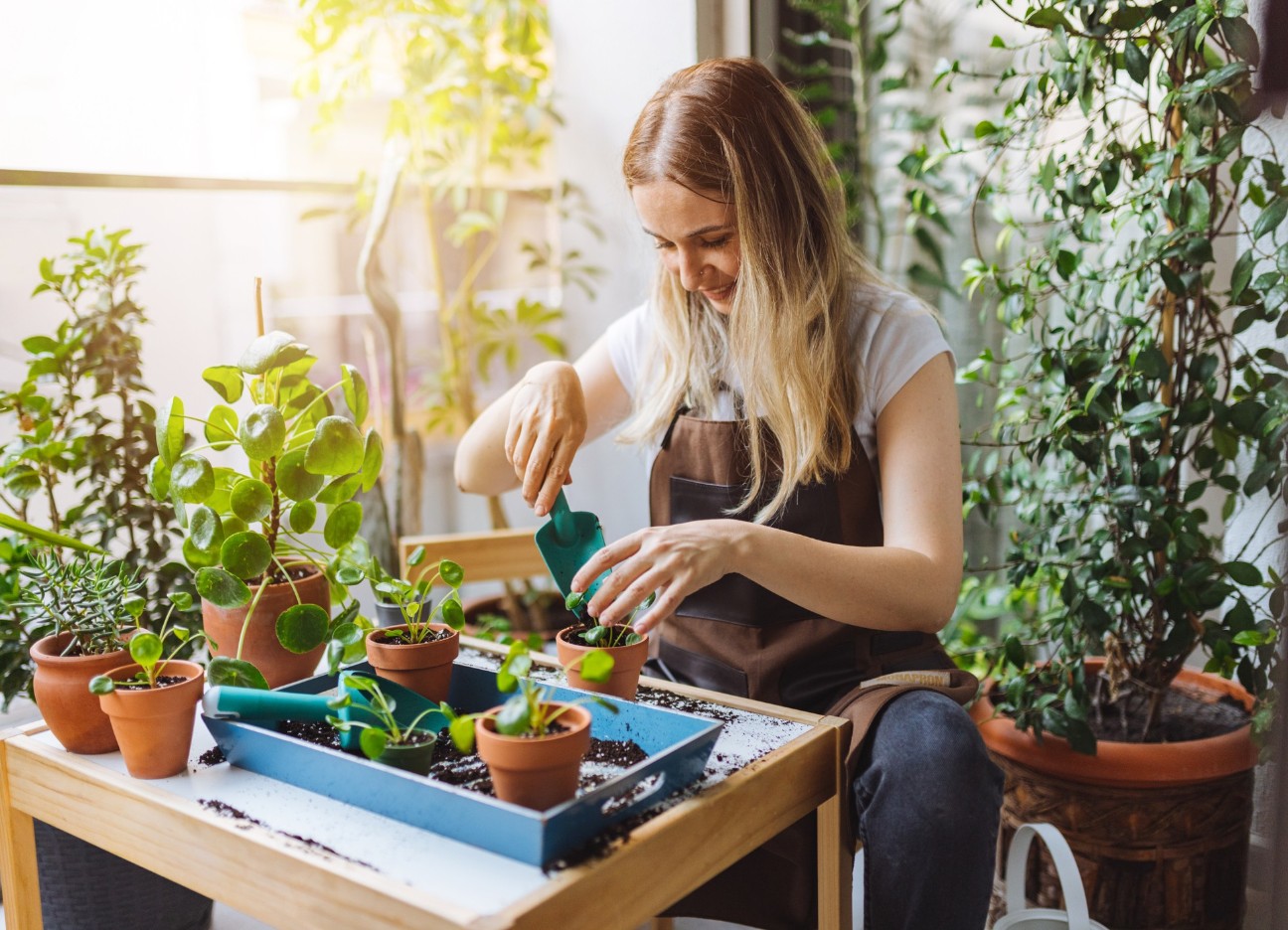 Bühnenbild Ratgeber Selbstständig als Garten- und Landschaftsbauer Eine junge blonde Frau pflanzt kleine Pflanzen auf einem Holztisch um.