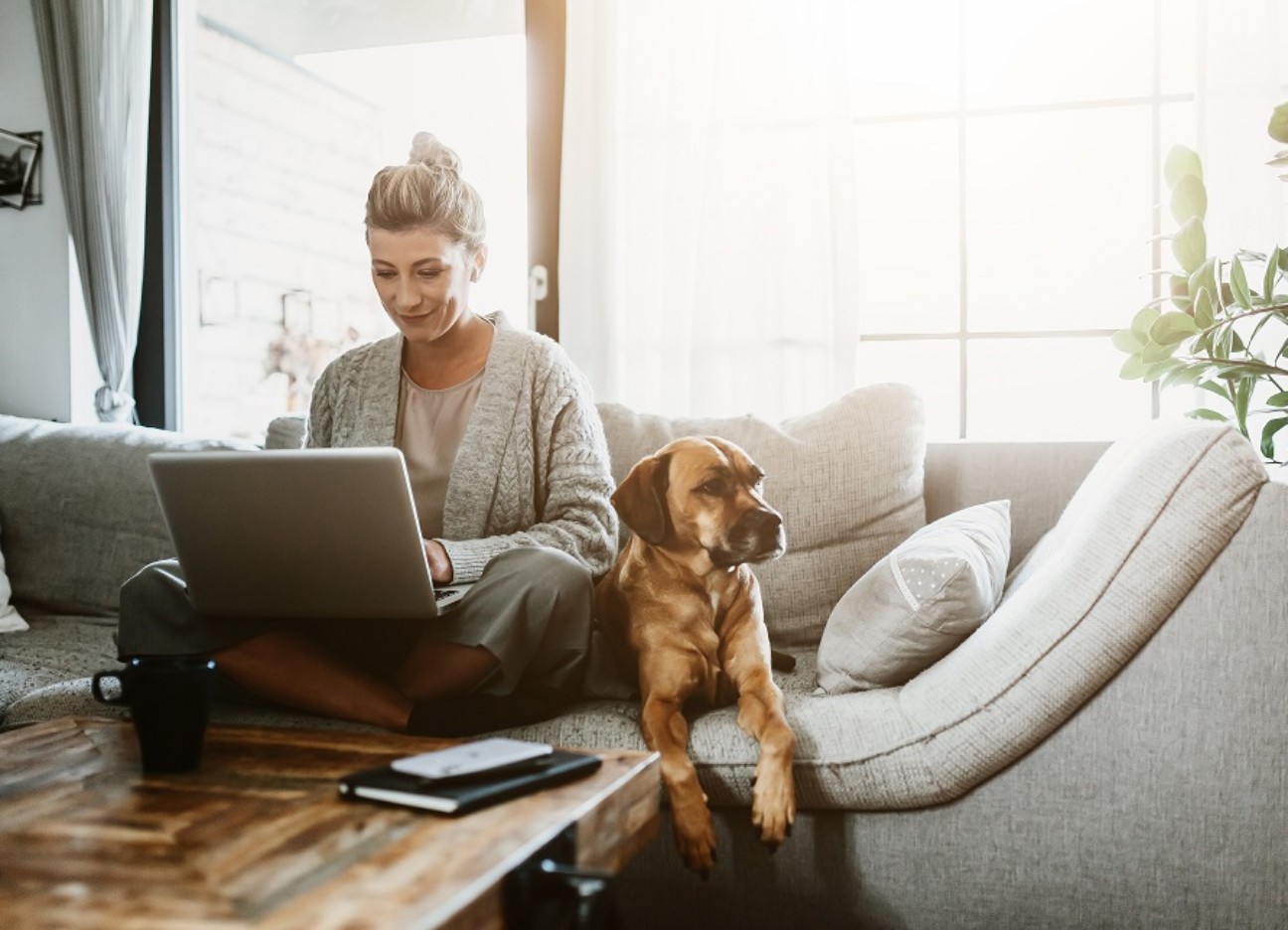 Bühnenbild Ratgeber Gefälschte Kundenbewertung Eine Frau sitzt mit ihrem Laptop auf dem Sofa. Neben ihr liegt ihr Hund.