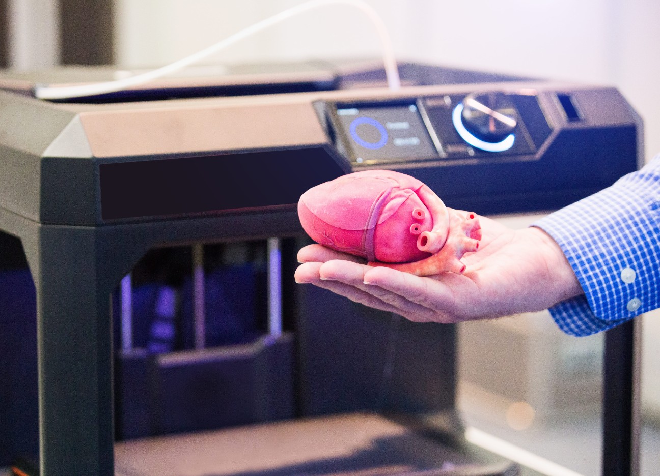 Bühnenbild Ratgeber Alternativen zur Organspende Ein Mann hält ein Herz (Organ), welches aus einem 3D-Drucker stammt.