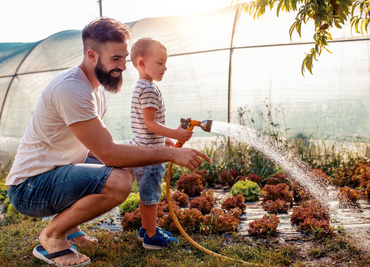 Ein Mann und ein kleiner Junge bewässern zusammen mit einem Wasserschlauch Pflanzen im Garten. 