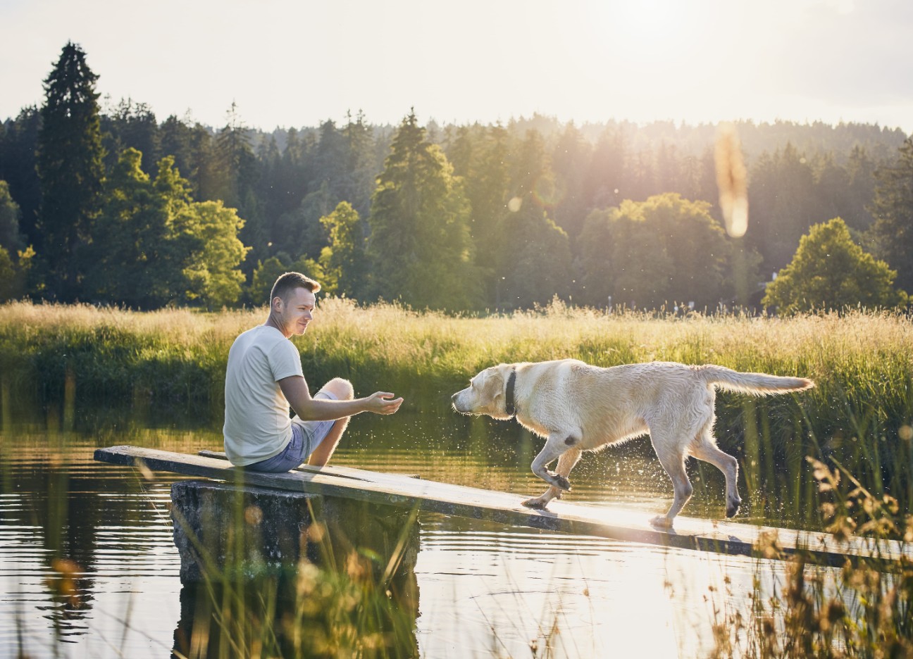 Bühnenbild Ratgeber Urlaub mit Hund Ein Mann spielt mit seinem Golden Retriever im Grünen.