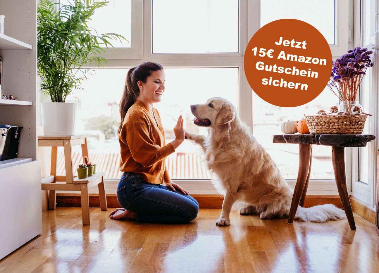 diebayerische-hunde-krankenversicherung_mit_stoerer_amazongutschein