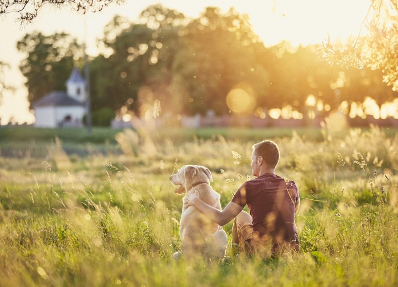 Ein Mann sitzt mit seinem Golden Retriever zusammen im hohen Gras bei Sonnenschein. 