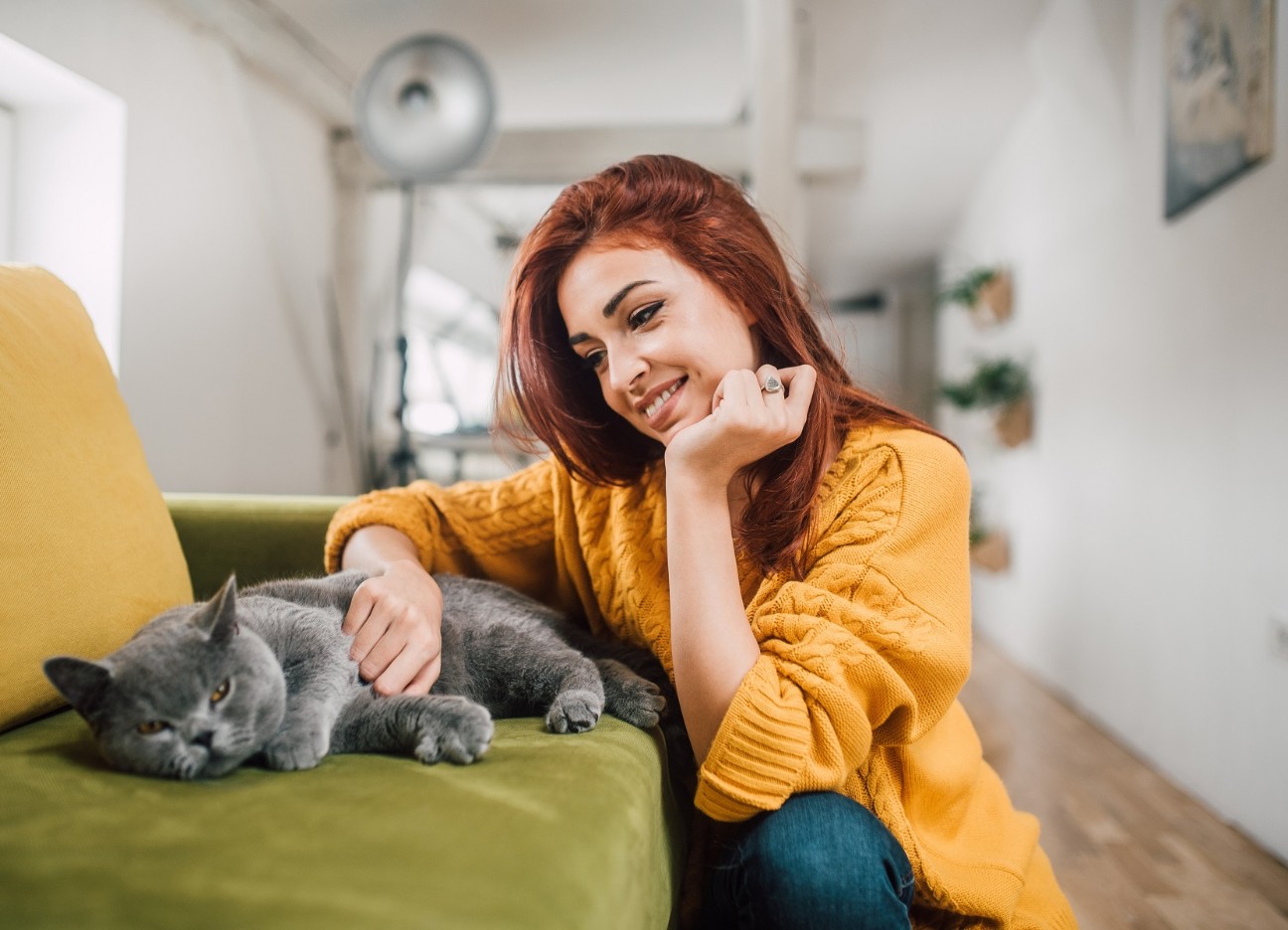 diebayerische-katzen-krankenversicherung