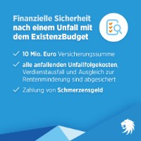 Social Media ExistenzBudget Eigenheimbesitzende 3